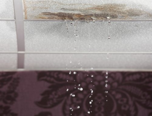 Filtraciones en condominios: ¿quién paga?